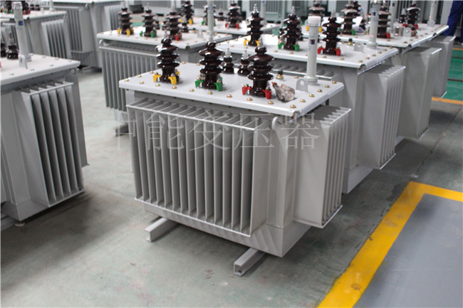 金昌S22-100KVA/10KV/0.4KV变压器